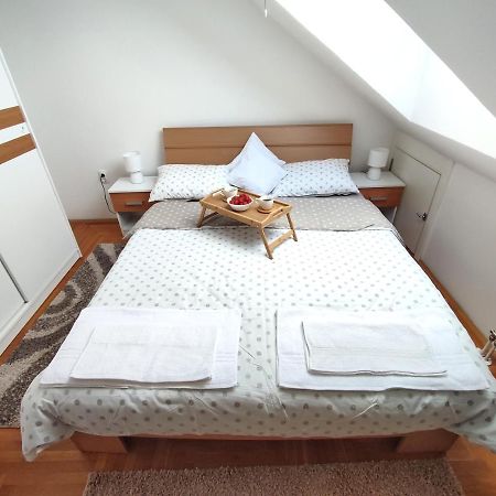 Apartman Ns Dan Private Parking Novi Sad Dış mekan fotoğraf