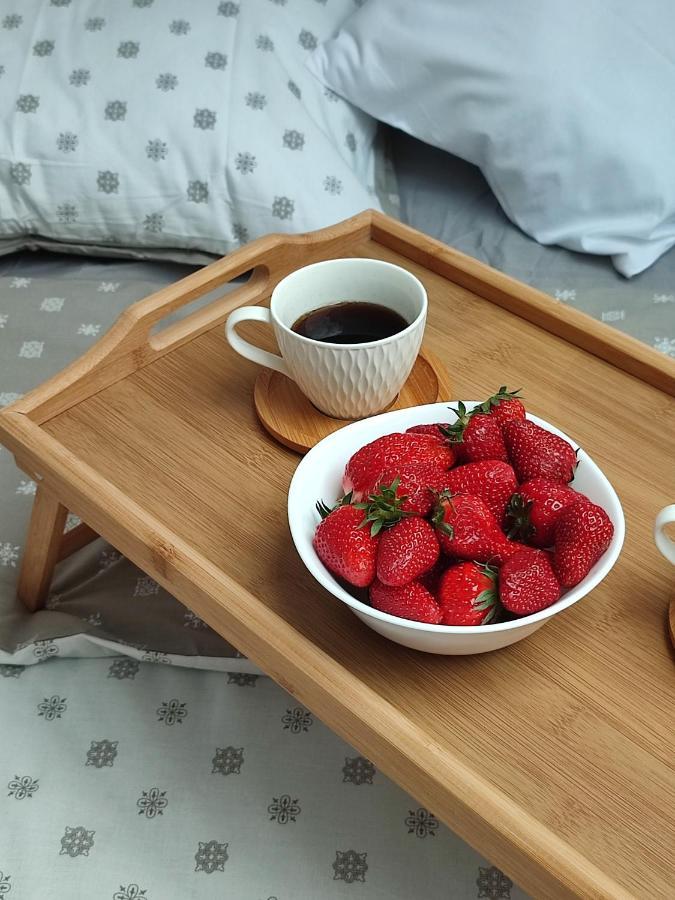 Apartman Ns Dan Private Parking Novi Sad Dış mekan fotoğraf