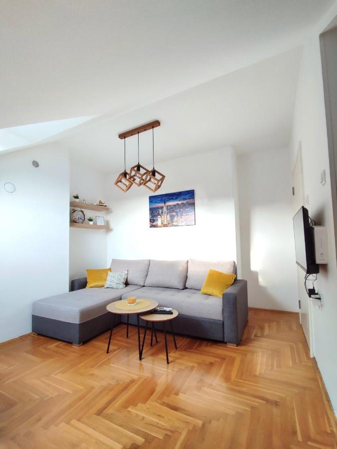 Apartman Ns Dan Private Parking Novi Sad Dış mekan fotoğraf