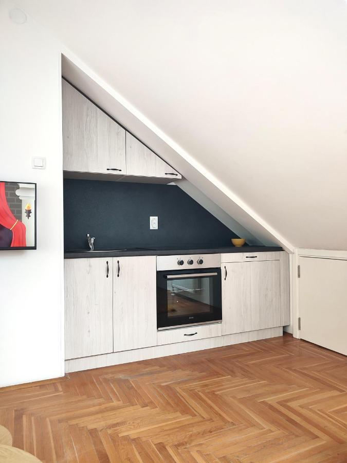 Apartman Ns Dan Private Parking Novi Sad Dış mekan fotoğraf