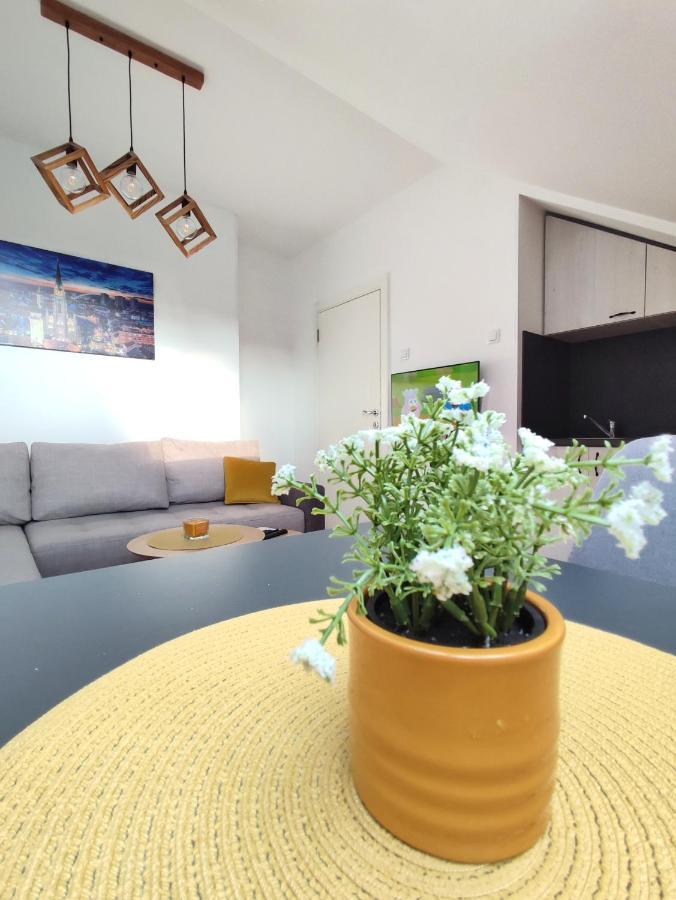 Apartman Ns Dan Private Parking Novi Sad Dış mekan fotoğraf