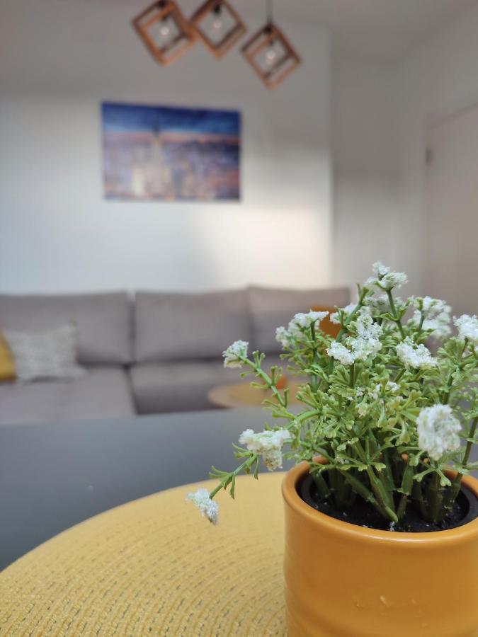 Apartman Ns Dan Private Parking Novi Sad Dış mekan fotoğraf